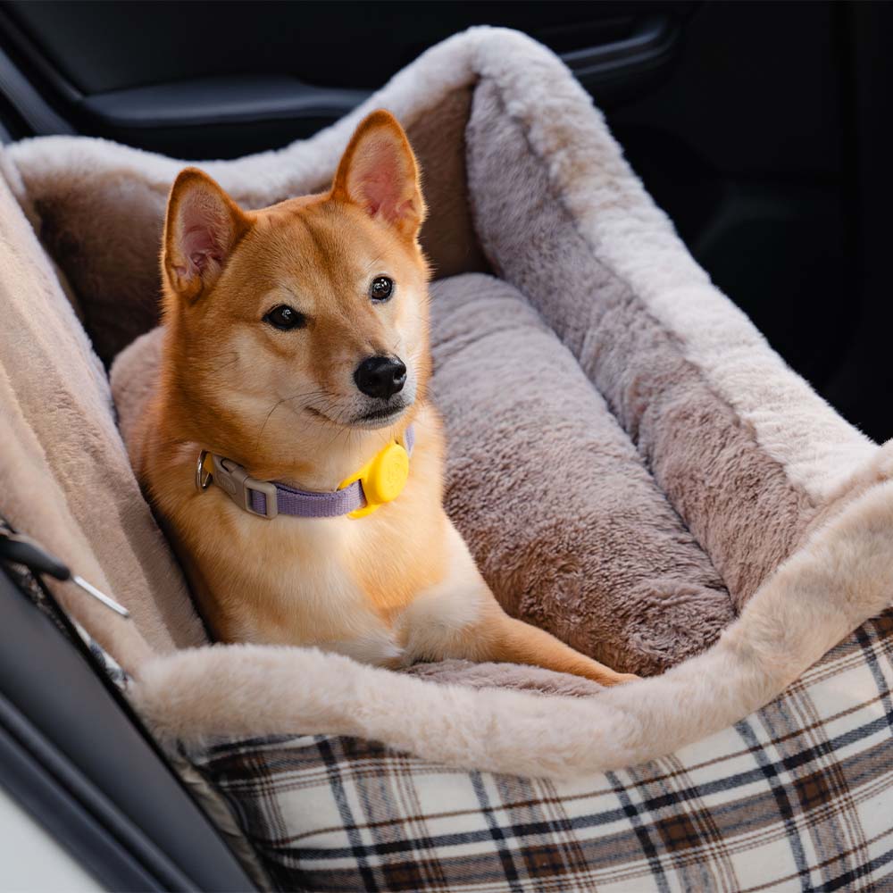 Asiento elevador para perros para automóvil, grande, clásico y esponjoso: manténgalo seguro