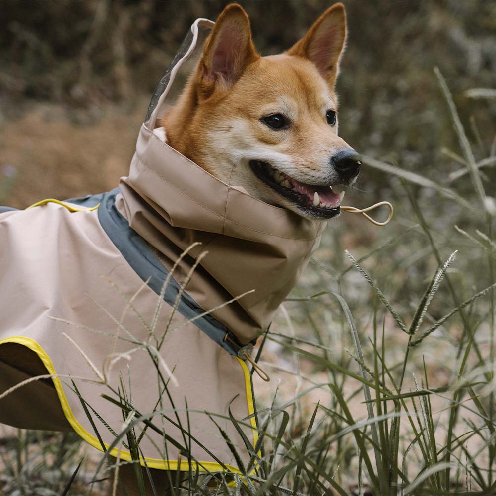 Impermeable reflectante ajustable con bolsillo para perros y humanos a juego: manténgase seco