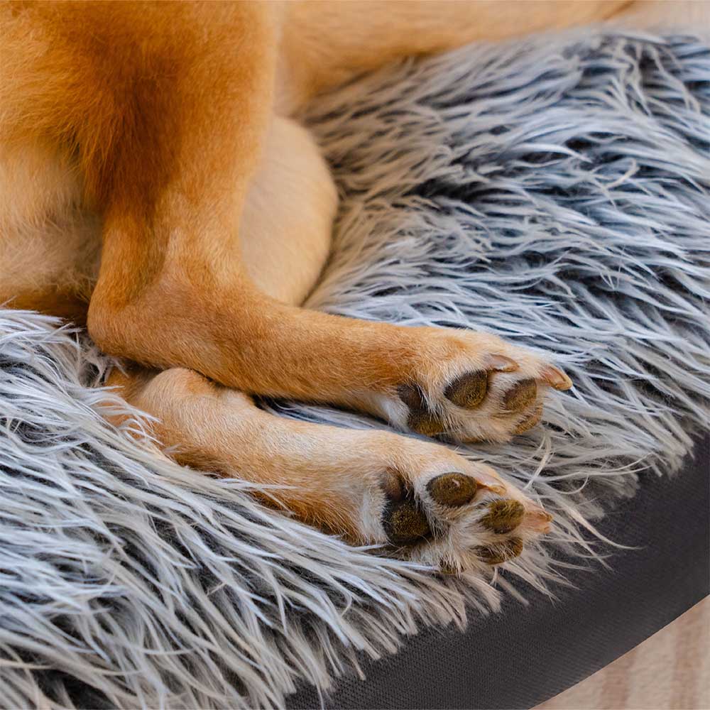 Sofá cama grande lavable y mullido para perros, con cojín acolchado, denim vaquero