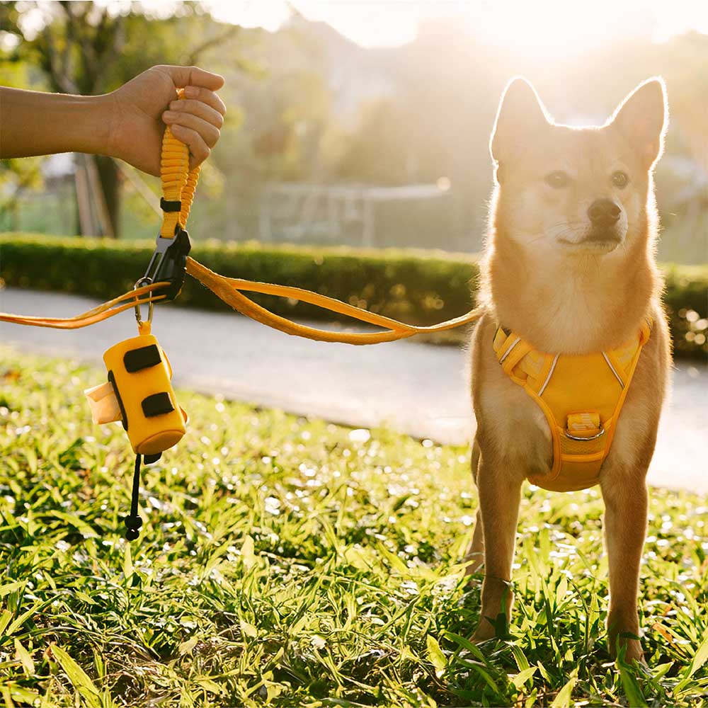 FUNNYFUZZY Dispensador de bolsas para excrementos con correa acoplable e impermeable- Flexi Walker