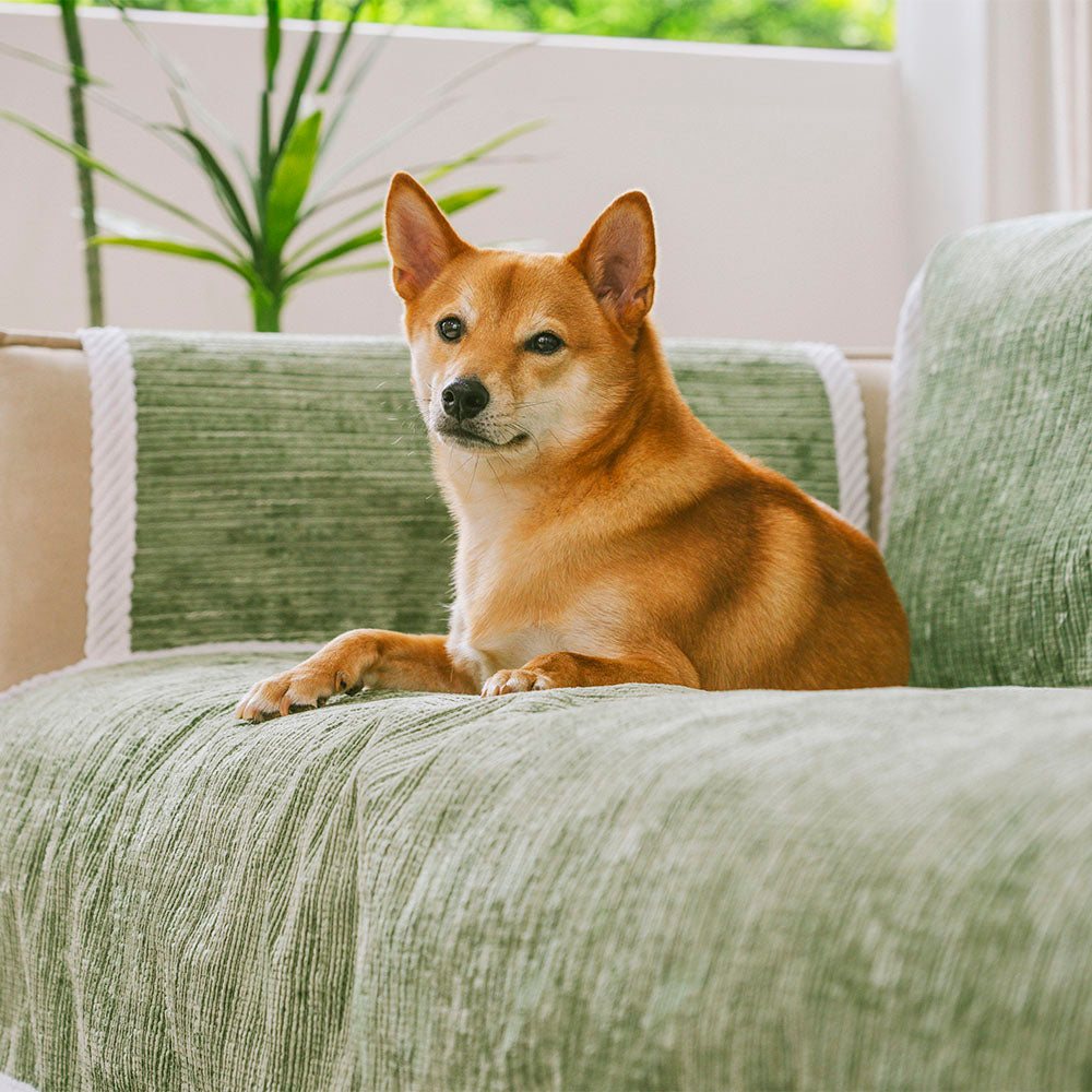 Protector de muebles para mascotas con rayas antideslizantes para todas las estaciones, con funda para sofá con reposabrazos - Keep Still