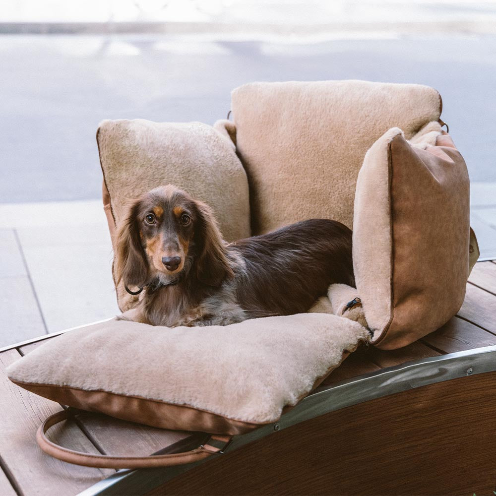 Asiento elevador para coche para perros grande, mullido, cálido, antideslizante y seguro - Ride and Rover