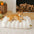 Camas planas grandes, lavables, acogedoras y de color crema para perros - Cheesecake