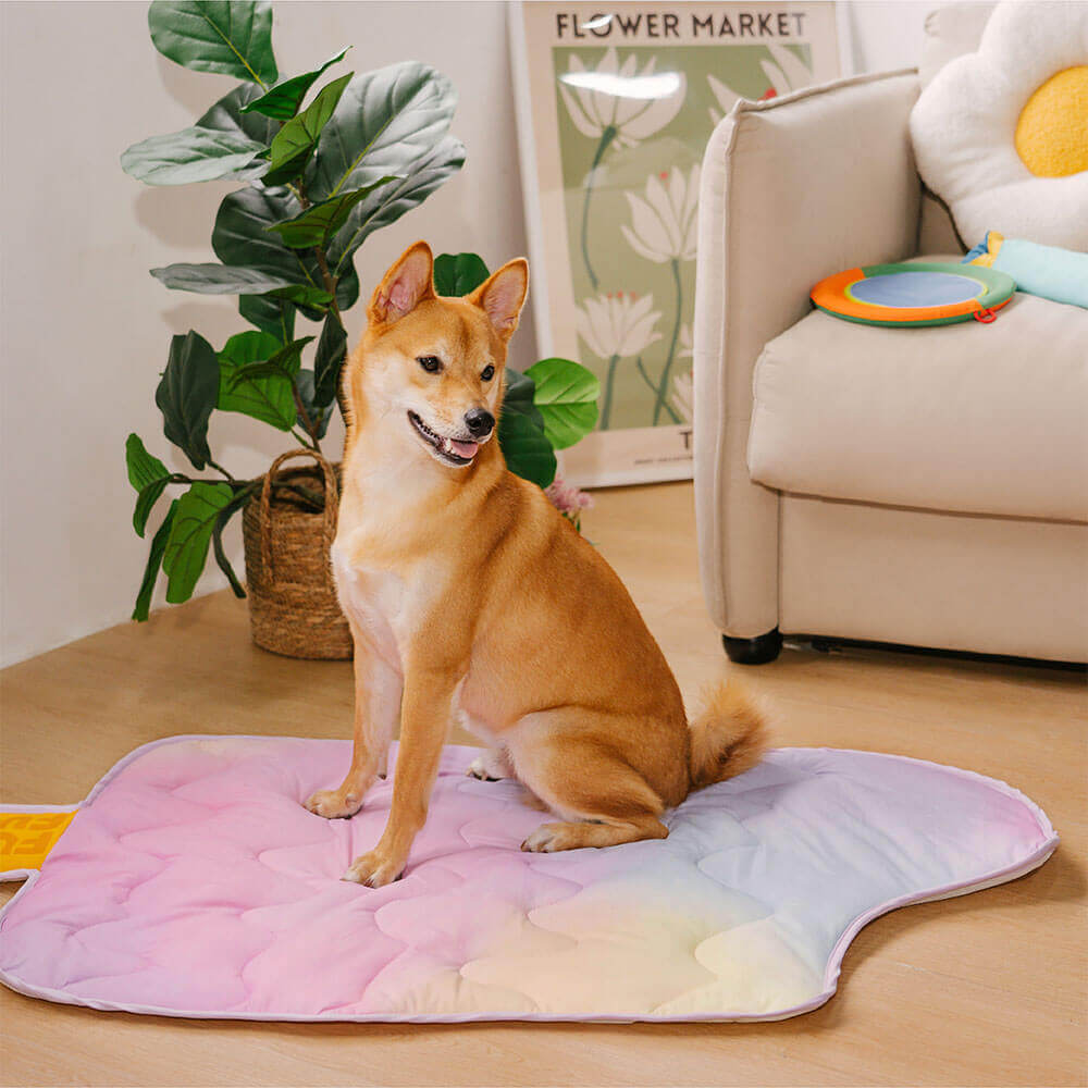 Alfombrilla para perros de enfriamiento superior en forma de helado y lavable - iChill