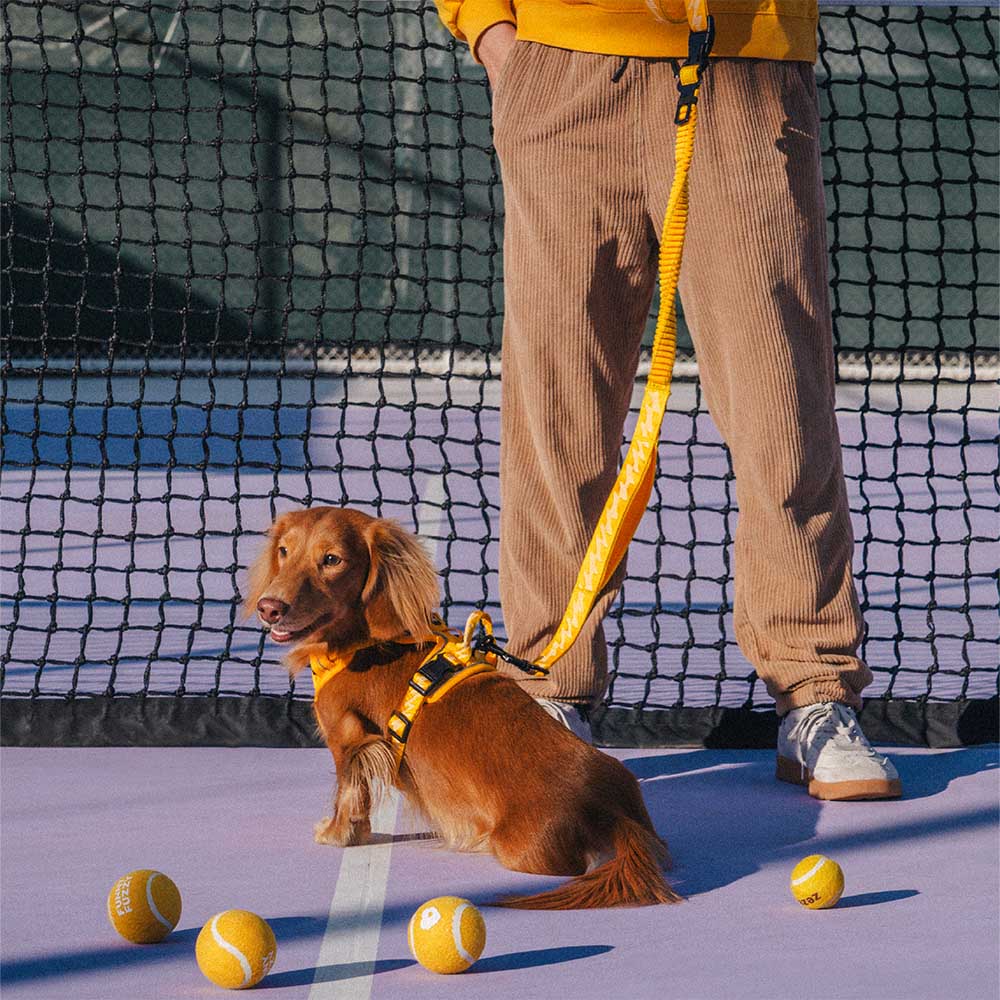 Correas de nailon para perros grandes, con asa suave, ajustables, reflectantes y de doble cara - Flexi Walker