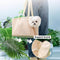 Bolsa de transporte ligera de malla para perros pequeños & Gatos