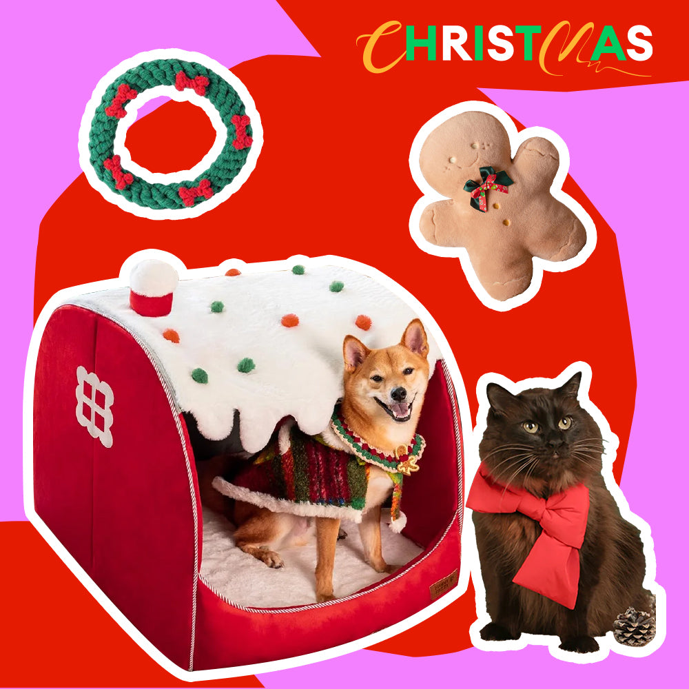 Paquete de Cama ortopédica para perros Festive Snow House: calidez navideña-4pzas