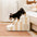 Escalera de mascotas antideslizante de esponja extraíble de rayas de moda - SafeStep