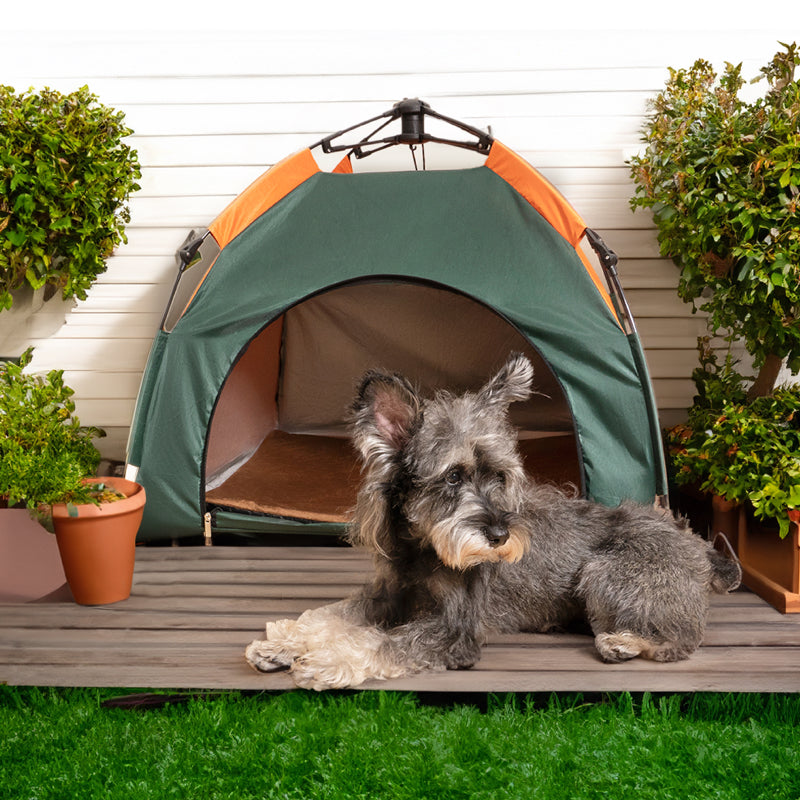 Tienda de campaña plegable para perros y gatos, portátil, para acampar al aire libre