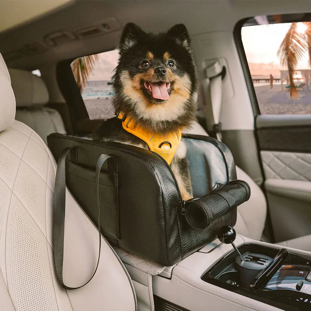 Asiento de coche para perros pequeño desmontable y elevado con consola central para viajes seguros