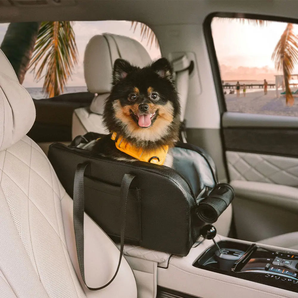 Asiento de coche para perros pequeño desmontable y elevado con consola central para viajes seguros