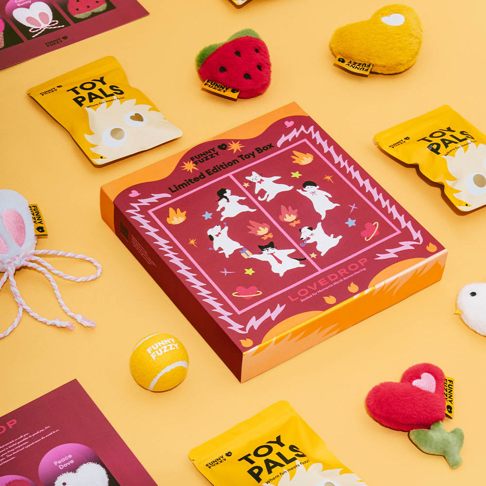 FUNNYFUZZY Limited Edition Toy Box