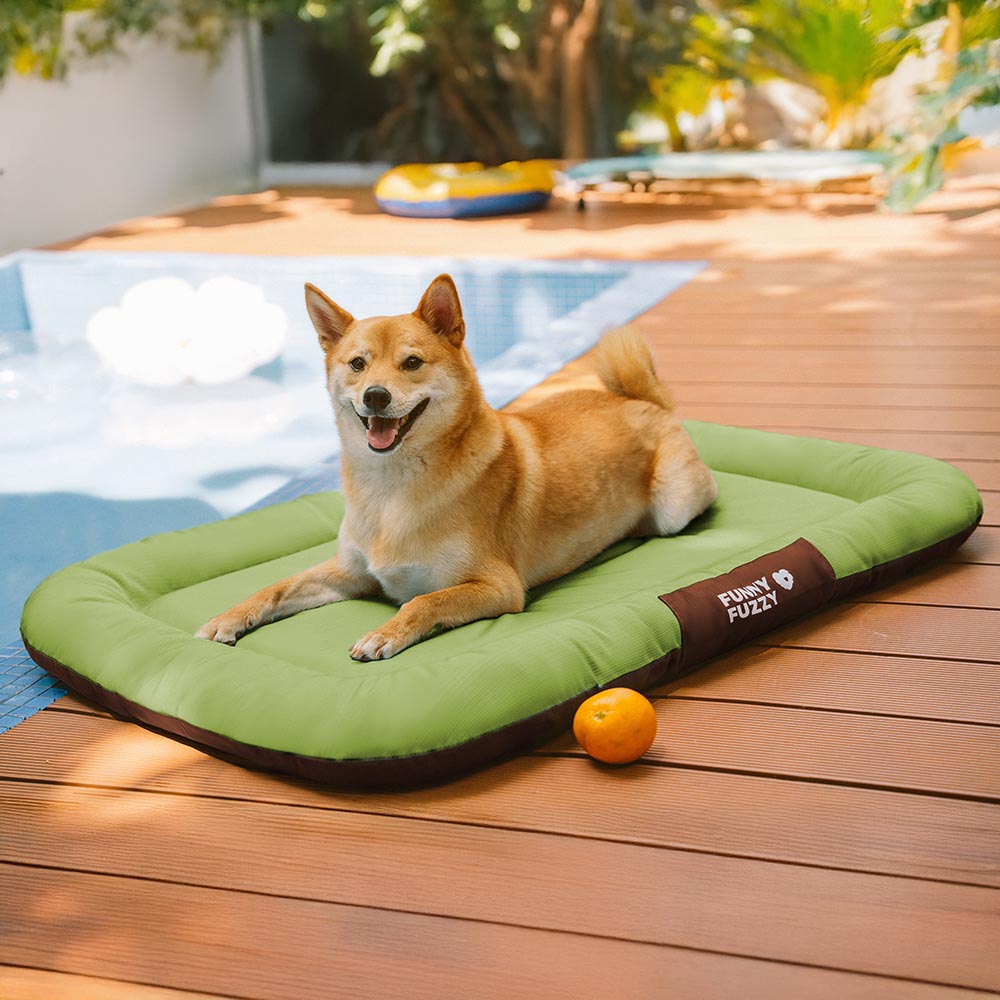 Manta ortopédica para perros resistente al agua y a los arañazos de colores bloqueados para exteriores - Trek Lounge