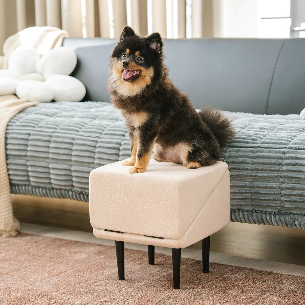 Escalera para perros en forma de rampa de madera convertible 2 en 1