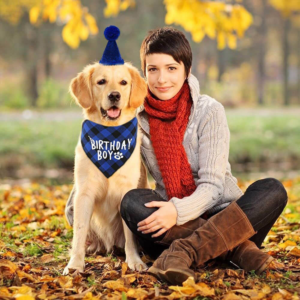 Accesorios para perros y gatos, suministros para fiestas, sombrero de cumpleaños, conjunto de Baberos