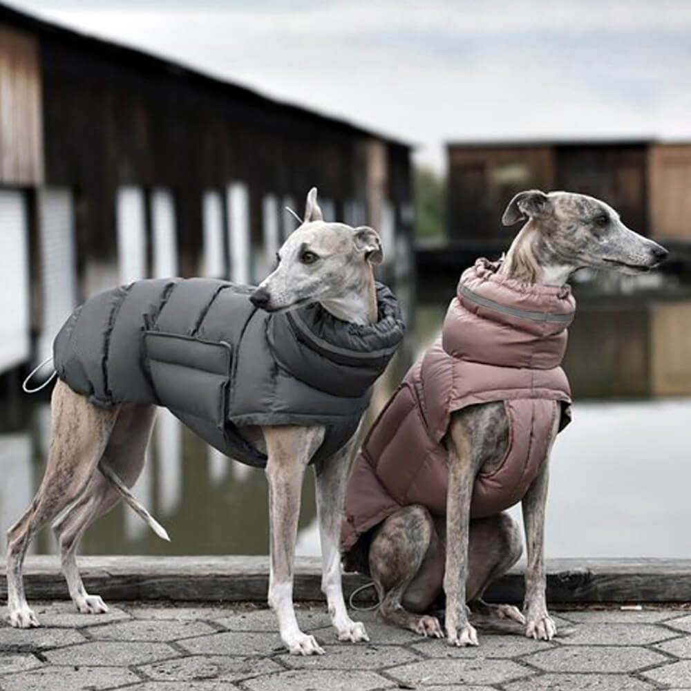 Chaleco cálido impermeable y resistente al viento: lo último en calidez y estilo para el invierno