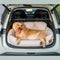 Traversin de voyage pour chien de taille moyenne et grande taille, lit de siège arrière de voiture