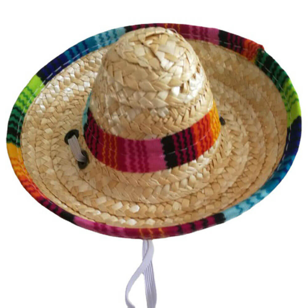 Sombrero de paja popular para el sol con forma de mini gato