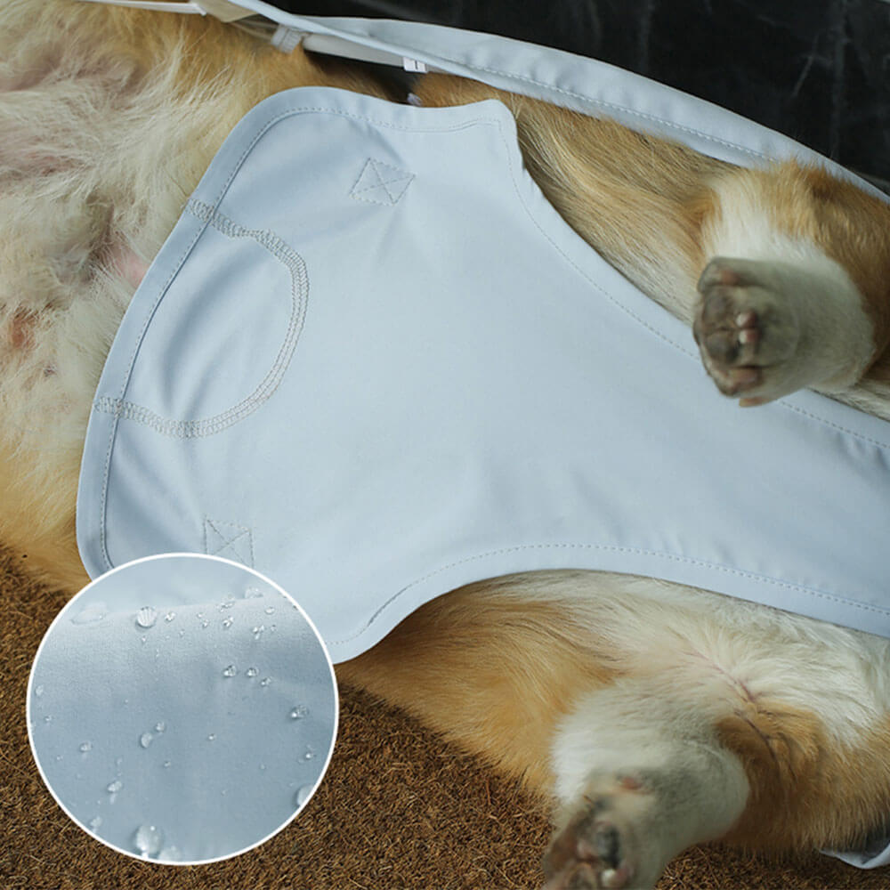 Chubasquero Impermeable para Perros con Banda Abdominal Completa y Ala Grande Transparente