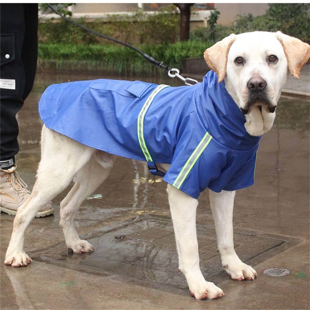 Chubasquero reflectante para perros al aire libre: impermeable y visible para protección en todo tipo de clima