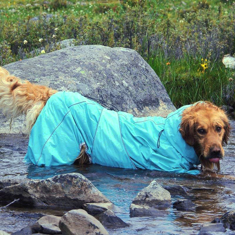 Chaqueta impermeable para exteriores para perros grandes, impermeable, ajustable, para lluvia