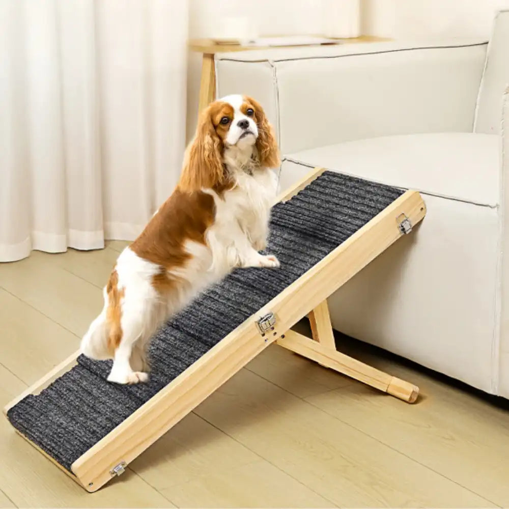 Rampa de perro de madera de 4 niveles, ajustable en altura, escaleras para perros plegables