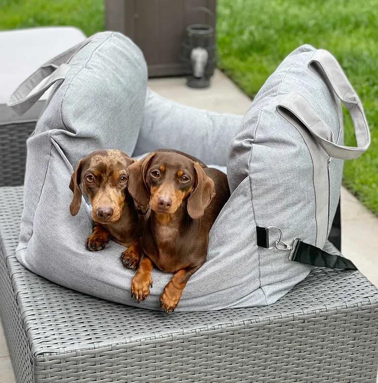 Cama para Silla de Coche de Perro - Primera Clase