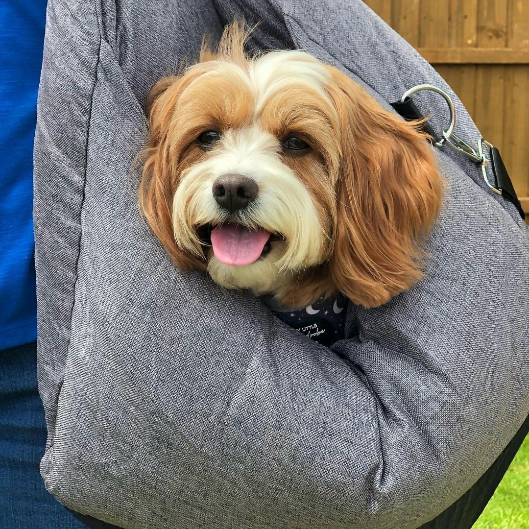 Cama para Silla de Coche de Perro - Primera Clase