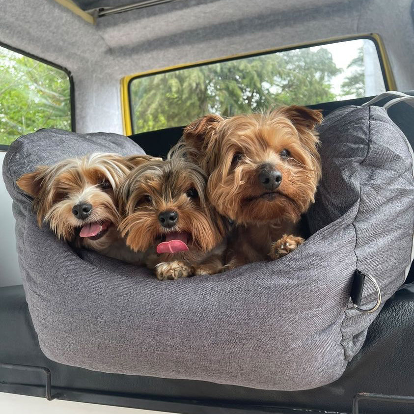 Cama para Silla de Coche de Perro - Primera Clase