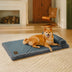 Dual-Sided Faux Leather＆Warm Plush Removable Sponge Dog Mat With Pillow