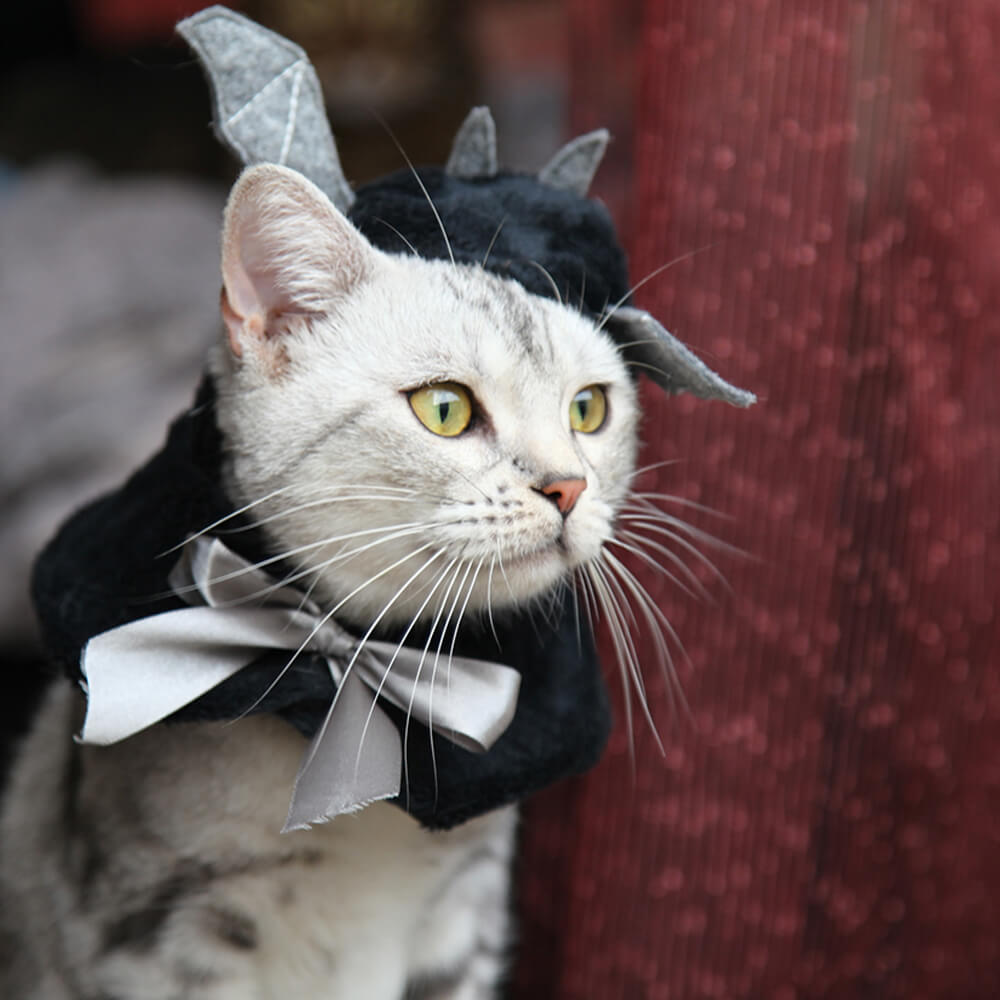 Disfraz de Halloween de murciélago, flamenco, unicornio y sombrero para mascota