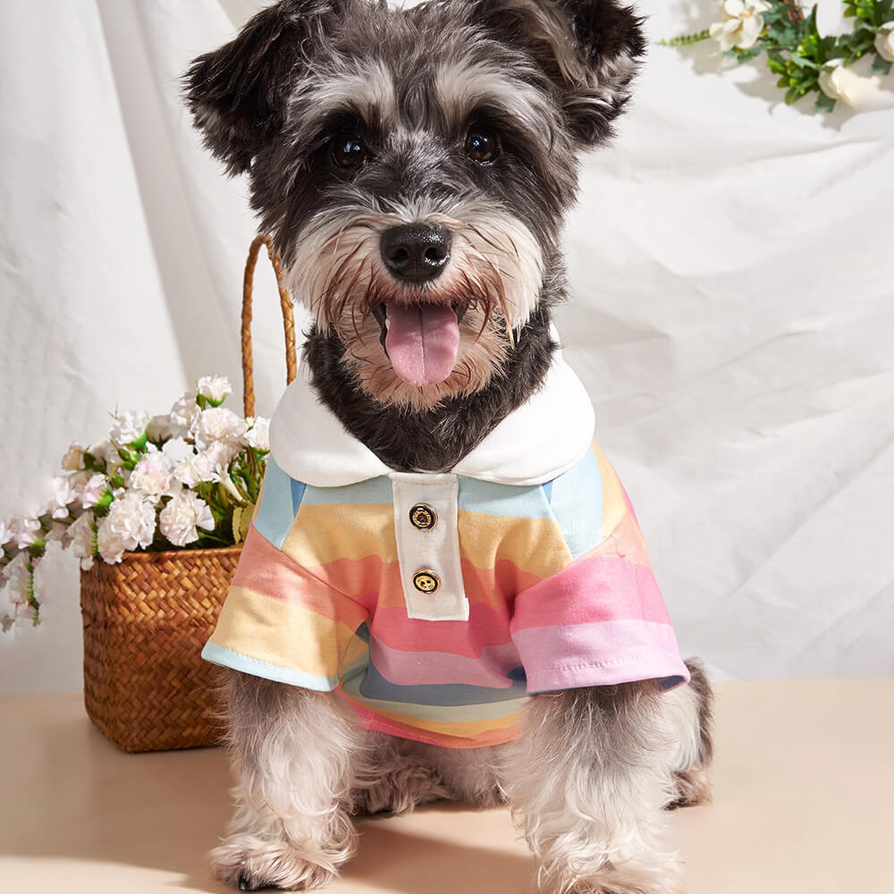 Polo para perro con rayas de colores y cuello blanco