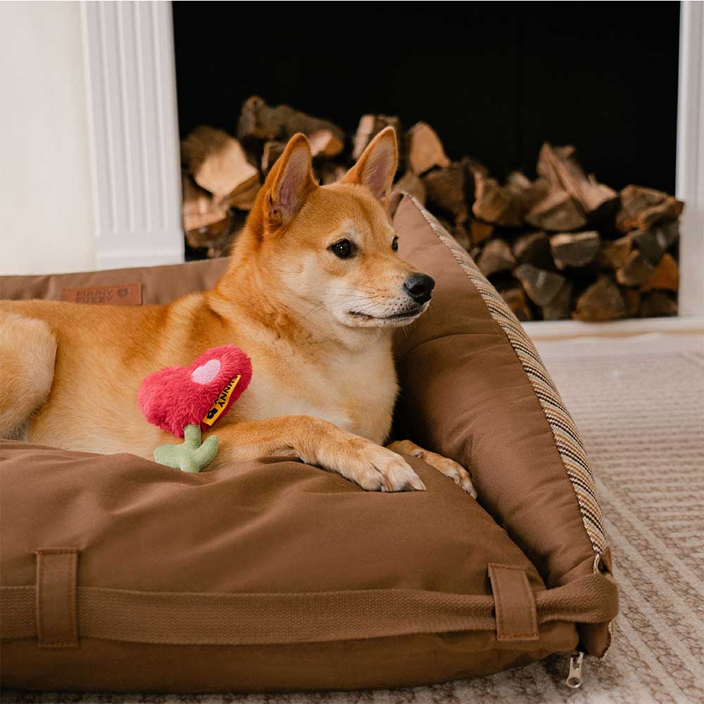 Cama para perro de sofá plegable y lavable de rayas naturales - Sofá para cachorro Mocca