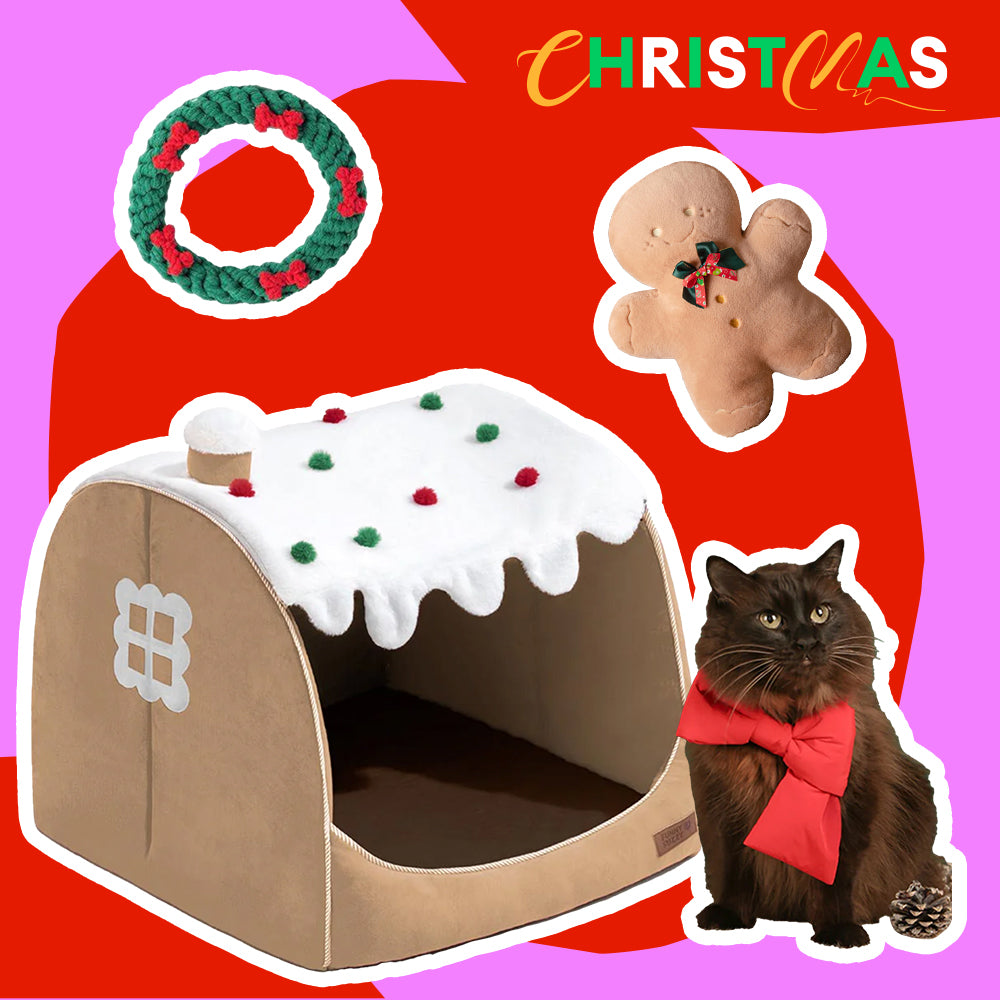 Paquete de Cama ortopédica para perros Festive Snow House: calidez navideña-4pzas