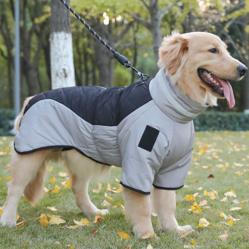 Chaqueta de algodón cálida y reflectante para perros grandes en invierno: adecuada para aventuras al aire libre