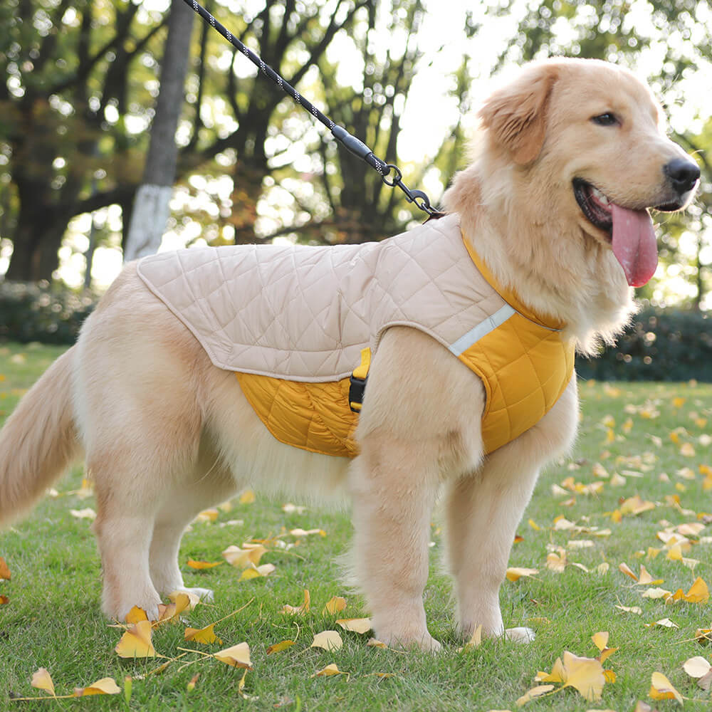 Chaqueta acolchada ajustable para perros: cálida y segura para paseos invernales