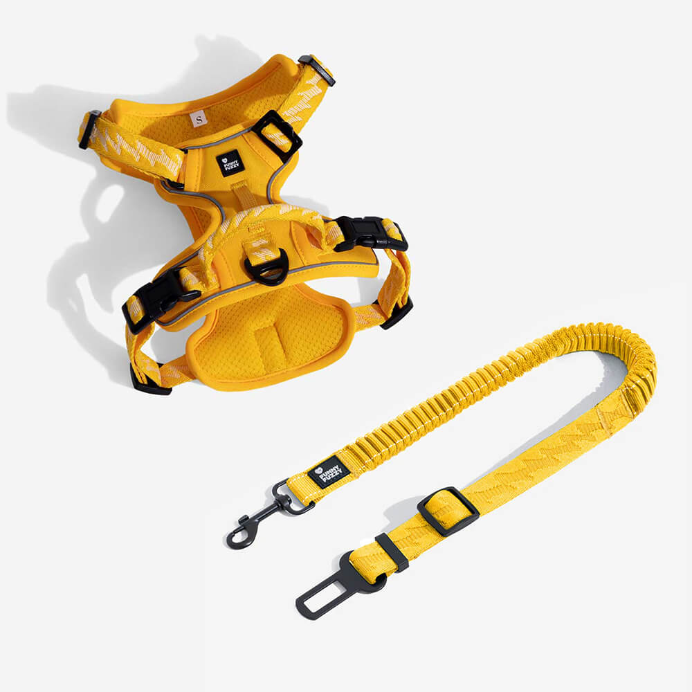 Ceinture de sécurité de voiture d'accessoires de chien frais réglables de tampon