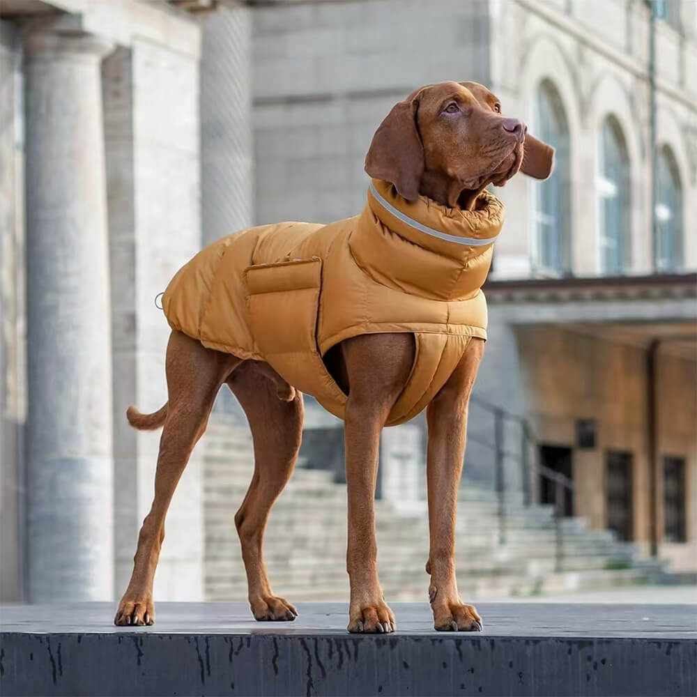 Chaleco cálido impermeable y resistente al viento: lo último en calidez y estilo para el invierno