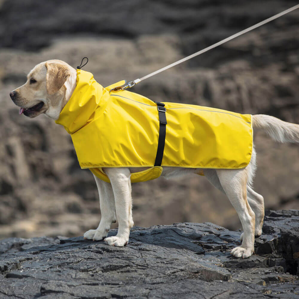 Poncho Impermeable para Perros Grandes con Tiras Reflectantes