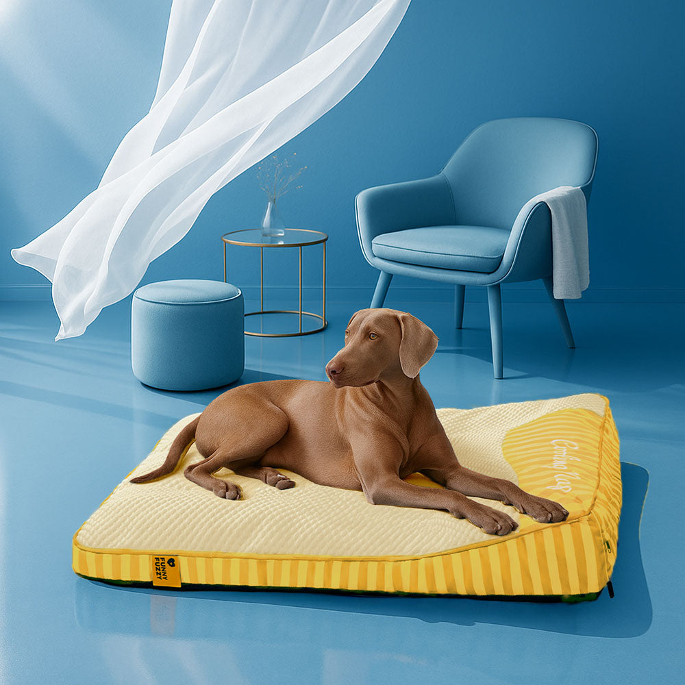 Cama ortopédica para perros rectangular lavable y de enfriamiento extra grande - Siesta fresca
