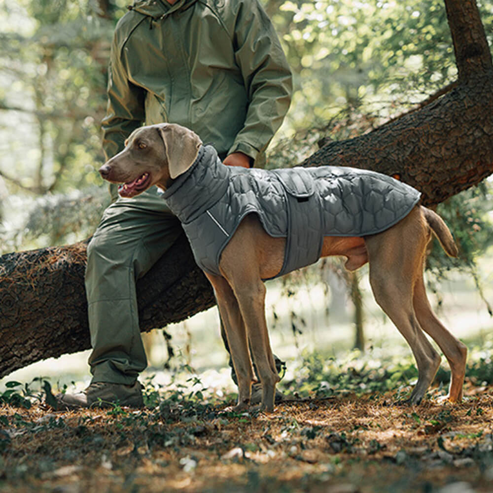 Chaleco acolchado para perros para exteriores: cálido y duradero para caminatas y aventuras