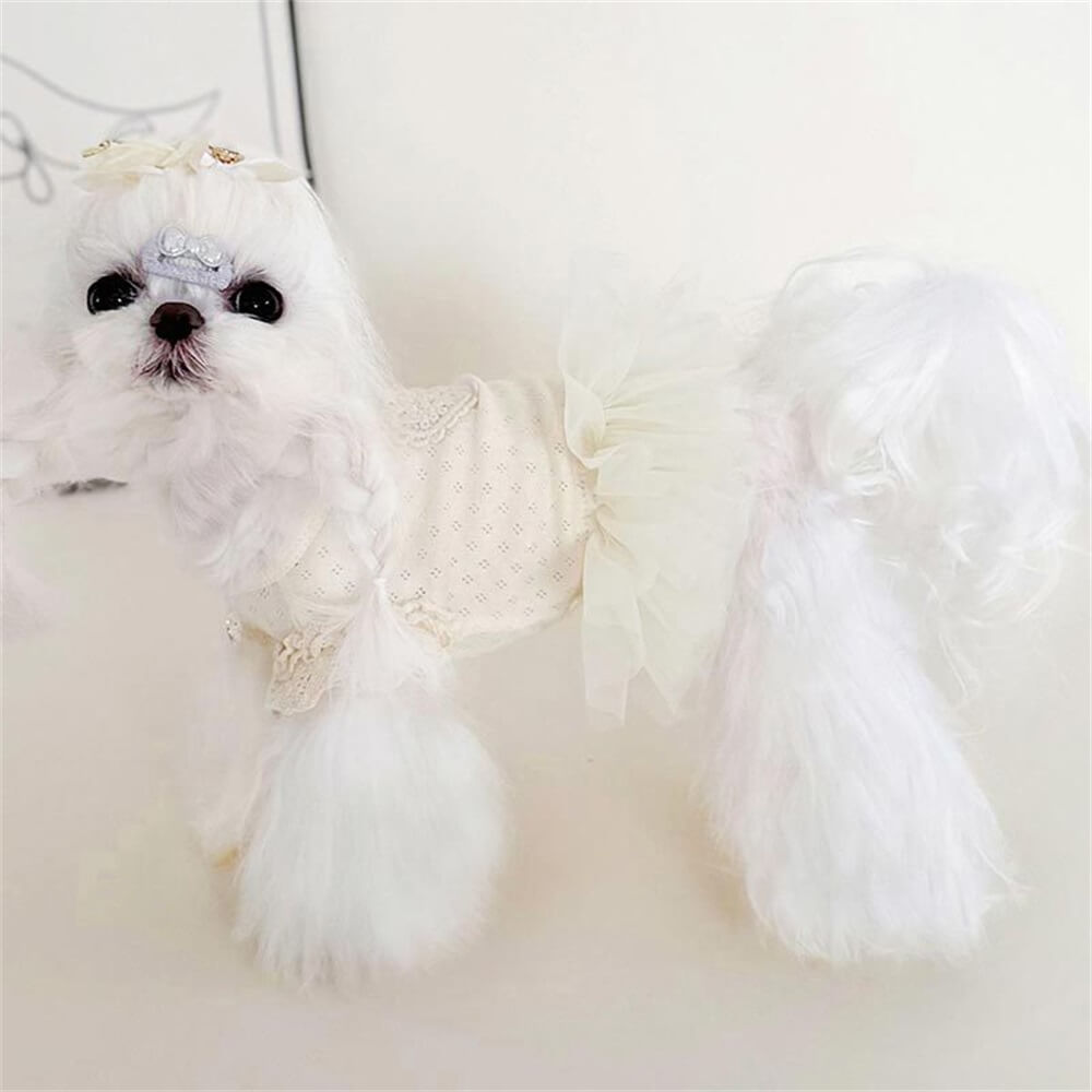 Elegante vestido de encaje blanco para perro con detalle de corazón: perfecto para ocasiones especiales