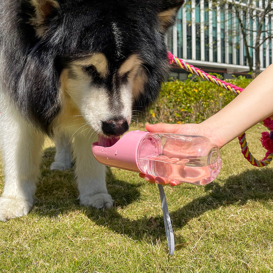 Botella portátil de agua para perros para viajes