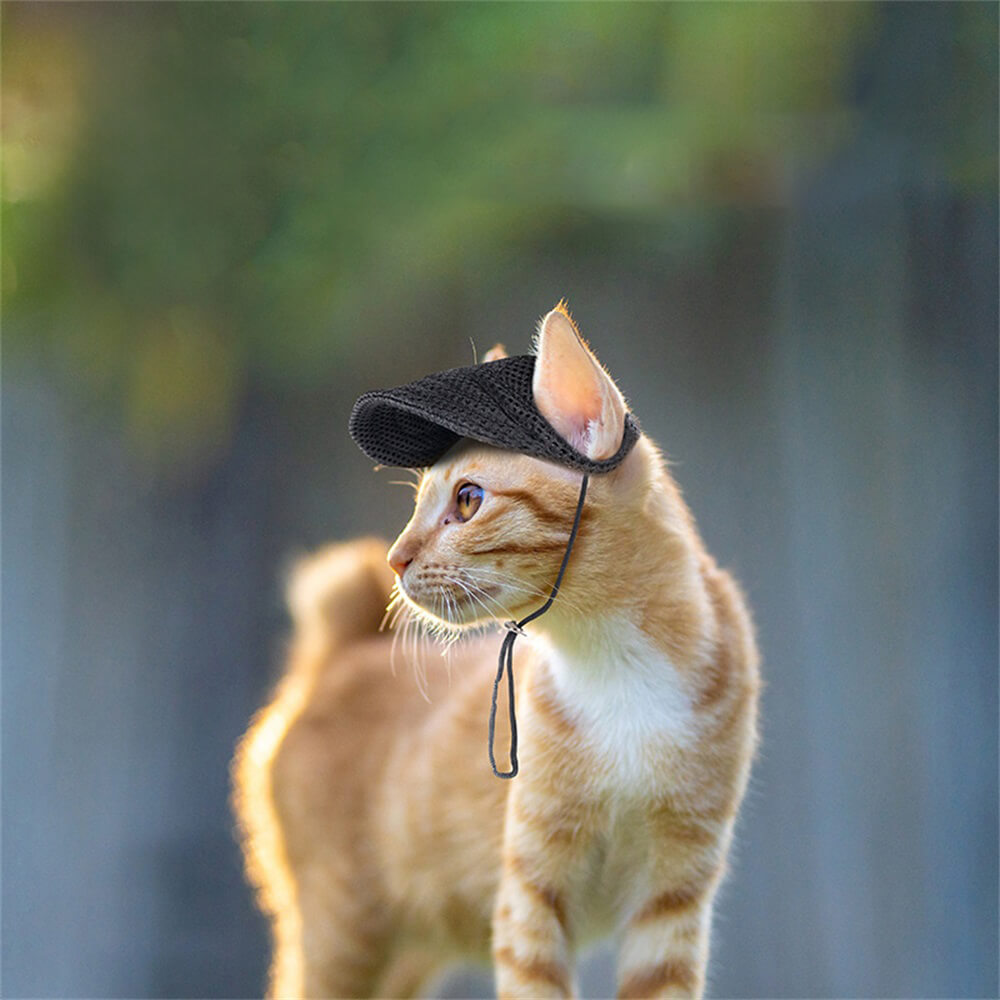 Gorra de béisbol con protección solar para mascotas de malla