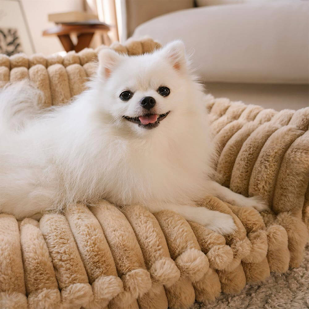 Almohada ortopédica grande, suave y lavable para perros, sofá cama para perros - Snoozy Dream