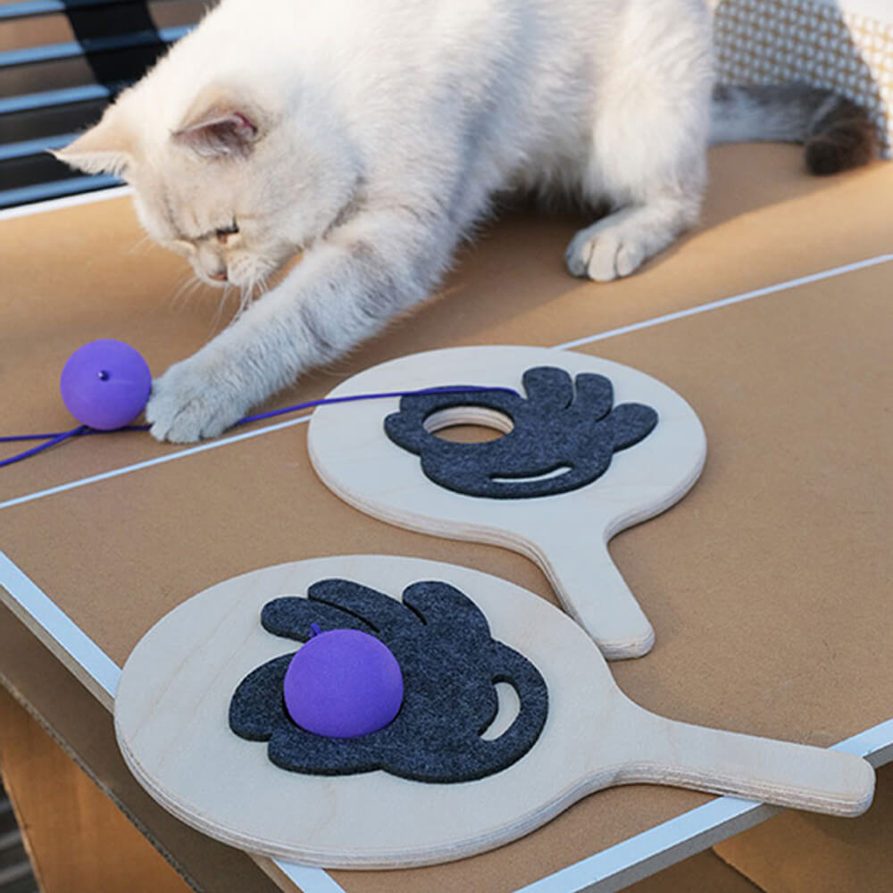 Juguete interactivo para gatos con paleta de ping pong y cuerda elástica