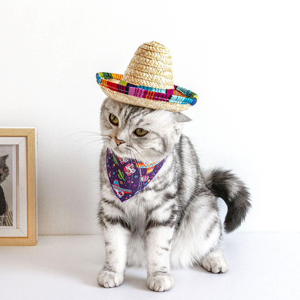 Sombrero de paja popular para el sol con forma de mini gato