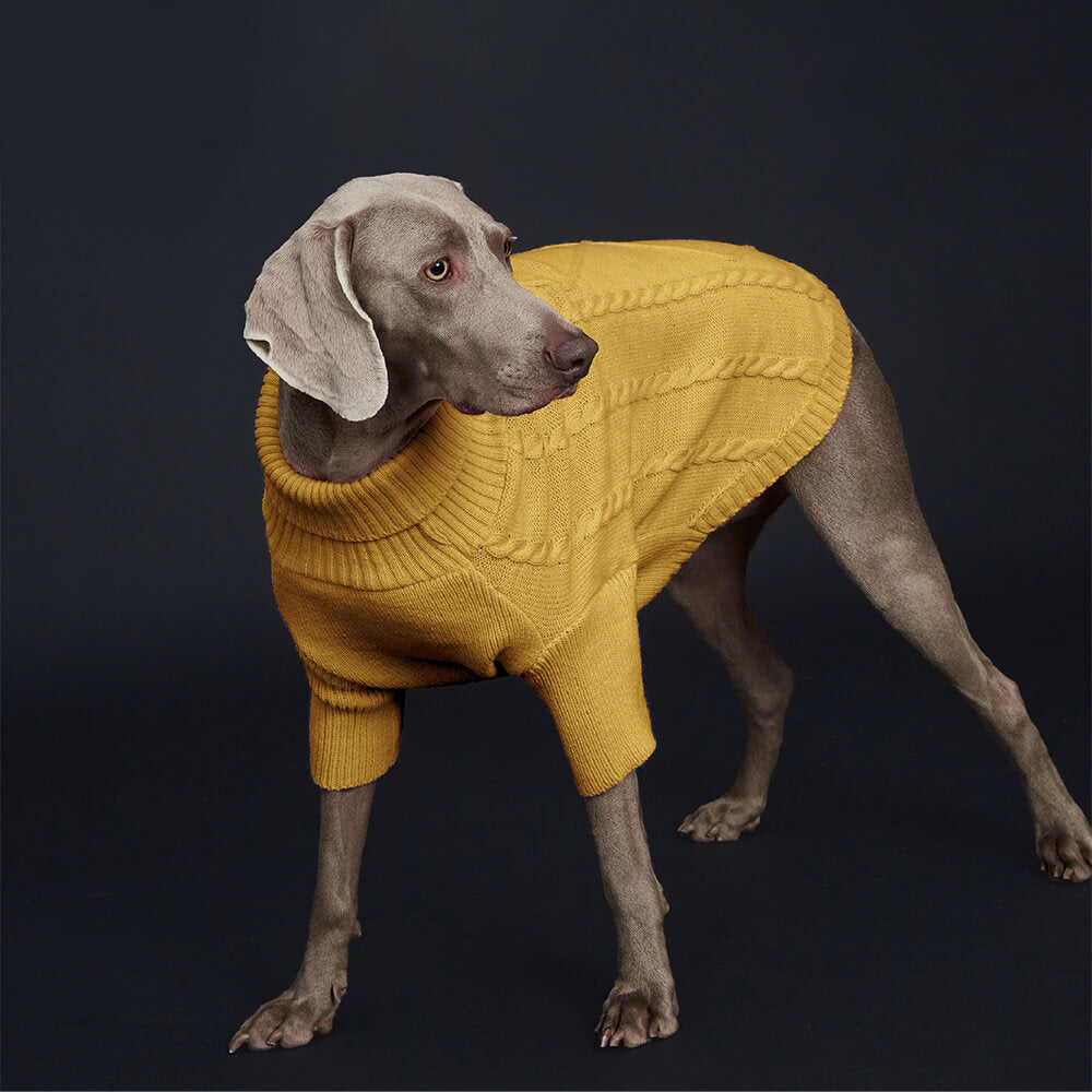 Suéter de punto trenzado para perros: cálido y elegante para razas grandes