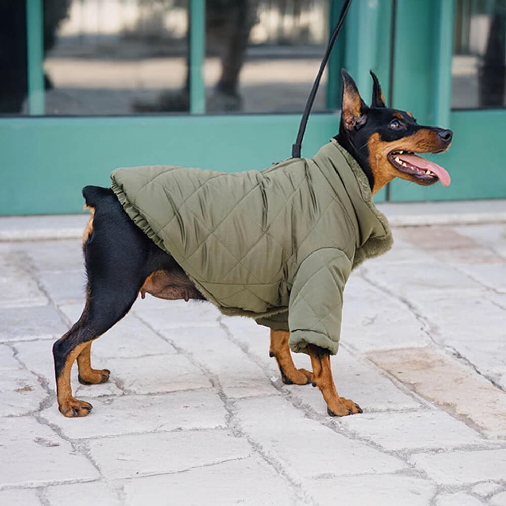 Abrigo para perros con cuello alto y botones a presión de piel sintética, cálido y acogedor