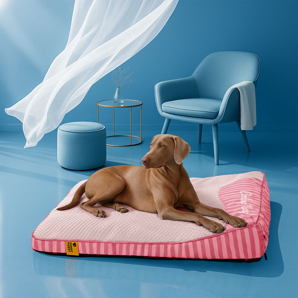 Cama ortopédica para perros rectangular lavable y de enfriamiento extra grande - Siesta fresca